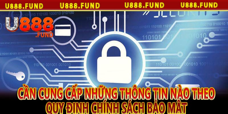 Cần cung cấp những thông tin nào theo quy định chính sách bảo mật 